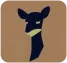 Vicuna